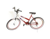 Bicicleta MG Bicicletas Aro 26 18 Marchas Export Mountain Bike Feminina