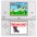 Console Nintendo DSi
