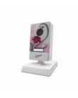 Foto Leadership Gotec Petite 3539