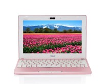 Netbook Asus Intel Atom N2600 2 GB 320 GB LED 10" Windows 7 Starter Edition 1025C