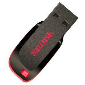 Pen Drive SanDisk Cruzer Blade 4 GB USB 2.0 SDCZ50-004G-A11