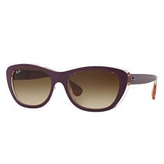 Óculos de Sol Feminino Retrô Ray Ban RB4227