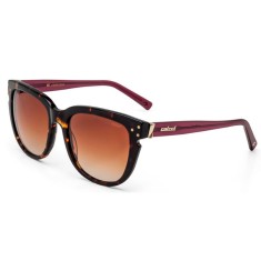 Óculos de Sol Feminino Colcci C0035